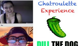 Chatroulette Experience Dill The Dog [upl. by Hayes]