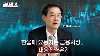 성기영의 경제쇼 엔화amp달러 환율에 요동치는 금융시장대응전략은  변정규 전무미즈호은행ㅣKBS 240830 방송 [upl. by Omocaig]