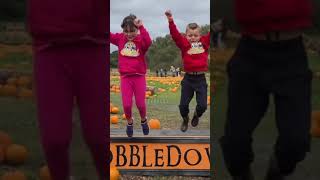 Pumpkin Hunt at Hobbledown Heath 🎃 [upl. by Geraud]