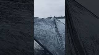 Heavy rain and tarp setup [upl. by Selij]