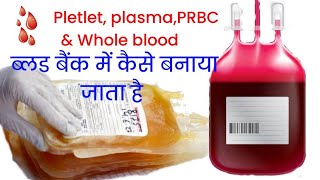 Blood Donationpletletplasma separate from bloodtransfusion proces 5 blood component preparation [upl. by Gillan259]