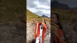 Desde el Paramo Andino 🌿 panflute atipakchristian nativetiktok [upl. by Niran]