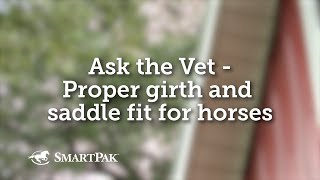 Ask the Vet  Proper girth and saddle fit for horses [upl. by Bergwall934]