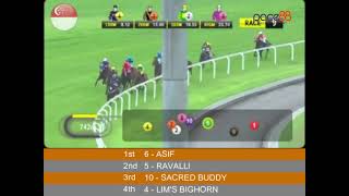 20240928  Race 9 Singapore Kranji Horse Racing Highlights  Pace88 Horse [upl. by Virgie706]