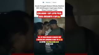 MALING SAPI  BUKAN SAYA KOMANDAN SAYA HANYA SOPIR🤣😭 tniindonesia tnirakyat beritaterkini tni [upl. by Brady480]