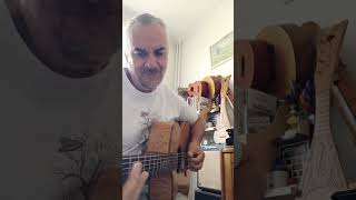 HEY HEY BIG BILL BROONZY cover [upl. by Elmer]