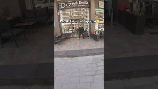 Köpek Saldırdıshorts motovlog trendyolgo kurye yemeksepeti funny fyp [upl. by Aivatahs17]