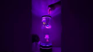 Why This Jellyfish Lamp Is Worth [upl. by Anetta]