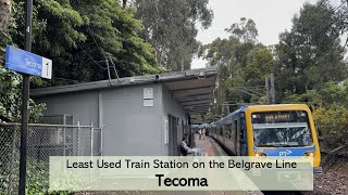 Tecoma  Least Used Station on the Belgrave Line [upl. by Freddi267]