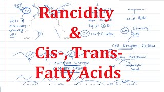 11 Cis Trans Fatty Acids amp Rancidity [upl. by Quintana620]