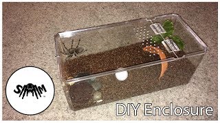 Tarantula Enclosure Build Arboreal or Terrestrial [upl. by Attikram]