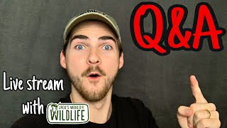 QampA With Jacks World of Wildlife My first Live Stream [upl. by Elocyn]