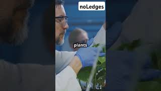 Can plants understand us Cleve Backsters Primary Perception learning facts science shorts [upl. by Norry]