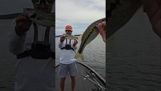 Double Up With The Fishing Coach TheFishingCoach shorts rangerboats bassfishing [upl. by Gnehc]