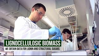 Biomass Analysis Techniques  Celignis Biomass Analysis Laboratory [upl. by Goldie]