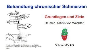 Behandlung chronischer Schmerzen  Grundlagen und Ziele [upl. by Silvano]