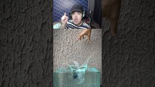 boia ou afunda rs pt2 boiaouafunda humor react anaochave objetos [upl. by Andrus]