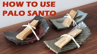 Benefits of Palo Santo Burning Palo Santo vs Sage  Jovanka Ciares [upl. by Liddle]