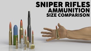 Sniper Rifles Precision Rifles Ammunition Size Comparison  3D [upl. by Aneras]