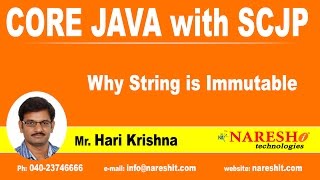 Why String is Immutable  Java Tutorial [upl. by Aihtiekal]