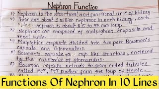 Nephron Working Function  Nephron 10 Line Working  Nephron 10 Lines  Nephron Importance Essay [upl. by Alehtse]