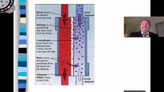 Hemo and Peritoneal Dialysis [upl. by Him]