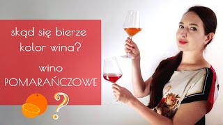 Jak powstaje wino Od czego zależy jego kolor POLSKIE WINA  Nie Moja Wina 🍷 Odc 4 [upl. by Catlaina]