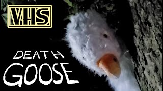 Death Goose [upl. by Etterb]