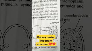 botany diagram nostoc important structure imp nostoc youtubeshorts short video ❤️💯💯❤️ [upl. by Isolde]