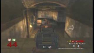 Nazi Zombies Der Riese Solo Strategy level 45 and higher [upl. by Aisha]