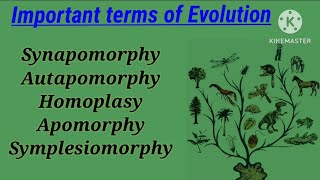 Synapomorphy Autapomorphy Homoplasy Apomorphy Symplesiomorphy  phylogenetic terms  Evolution [upl. by Anined]