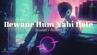 Deewane Hum Nahi Hote  Slowed and Reverb  LoFi Version  Aditya Yadav  Magicall Musix [upl. by Pollerd]