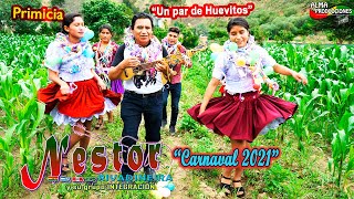 NESTOR RIVADINEIRA Carnaval 2021 quotUn Par de Huevitosquot Video Oficial de ALPRO BO [upl. by Atteuqahs]