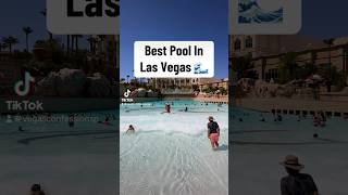 Is This The Best Pool In Las Vegas lasvegas vacation pool [upl. by Bandler611]