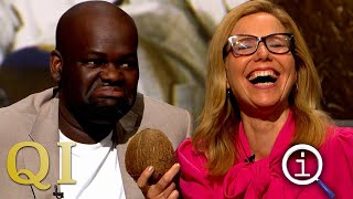 QI Series 19 Random  With Bill Bailey Daliso Chaponda amp Sally Phillips [upl. by Gastineau918]