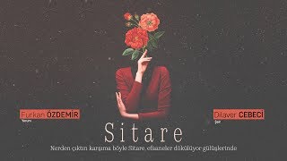 Sitare  Dilaver Cebeci [upl. by Odama886]