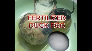 🌈🌈🌈BALOTCracking Fertilized duck egg🥚asmr yummy egg🥚🥚🥚🥚 [upl. by Trever]