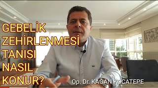 GEBELİK ZEHİRLENMESİ PREEKLAMPSİ NEDİRTANISI NASIL KONURHİPERTANSİYON VE İDRARDA PROTEİN ÇIKMASI [upl. by Jocelyne]