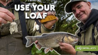 RIVER DOVE CHUB  BREAD FISHING [upl. by Dranyer]