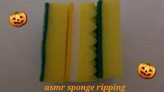 🎃ASMR🎃  Ripping sponge ×3  squeezing scratching picking scour ripping sounds [upl. by Nalhsa873]