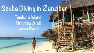 Scuba Diving in Zanzibar Tanzania  Tumbatu Island Mnemba Atoll Leven Bank [upl. by Yrac]