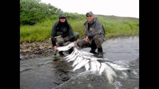 Fish Alaska Hot Silver Salmon [upl. by Raphael]