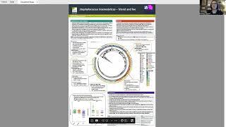 Staphylococcus haemolyticus  friend and foe [upl. by Ahseem174]