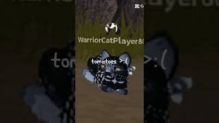 I like wcue cats roblox warriorcats [upl. by Doownyl690]