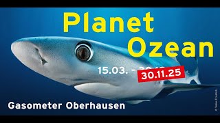 quotPlanet Ozeanquot Ausstellungstrailer  Verlängerung bis 30112025 [upl. by Nilats873]