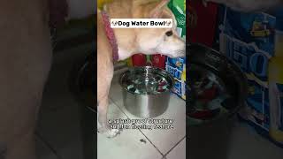 Your Dog Deserves Fun While Drinking WaterStainlessSteelWaterBowlRightWaterBowlStainlessSteelBowl [upl. by Aisyle305]