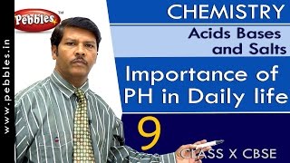 Importance of PH in Daily life  Acids Bases and Salts  Chemistry  CBSE Class 10 Science [upl. by Garcia]