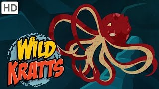 Wild Kratts  Best Season 1 Moments Part 8  Kids Videos [upl. by Llerehc]