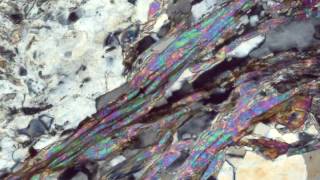 Muscovite and Chlorite Crossed Polars [upl. by Ennairoc]