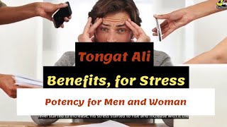 Tongkat Ali Benefits for Stress and Potency for Men and Woman [upl. by Avik]